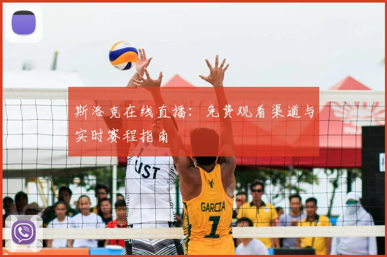 斯洛克在线直播：免费观看渠道与实时赛程指南