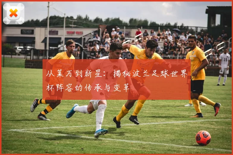 从莱万到新星：揭秘波兰足球世界杯阵容的传承与变革