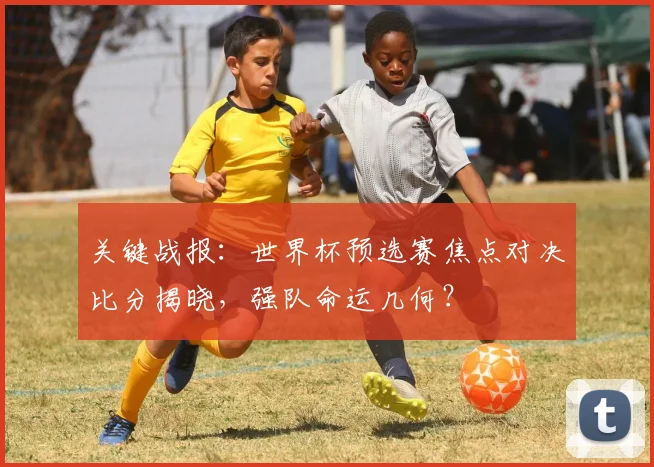 关键战报：世界杯预选赛焦点对决比分揭晓，强队命运几何？